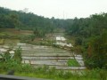 Tn P1030684
